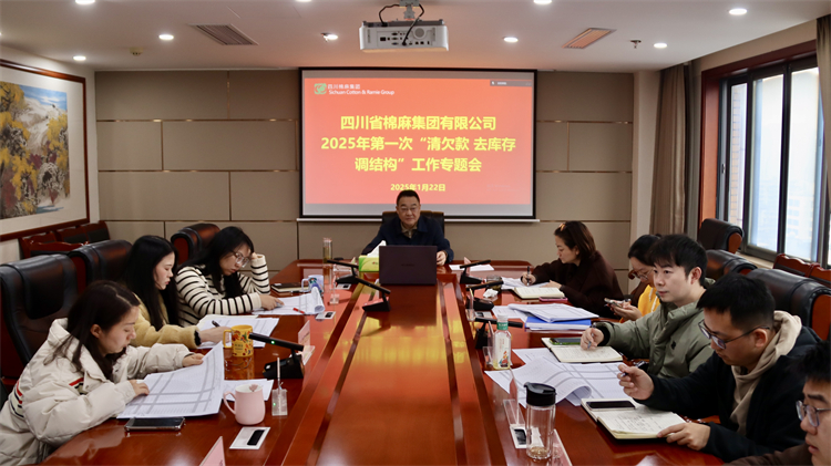集團(tuán)公司召開2025年第一次“清欠款、去庫存、調(diào)結(jié)構(gòu)”工作專題會