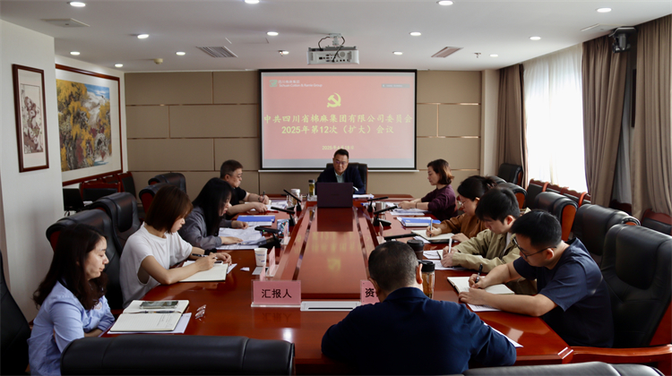 集團公司召開2025年第12次黨委（擴大）會議